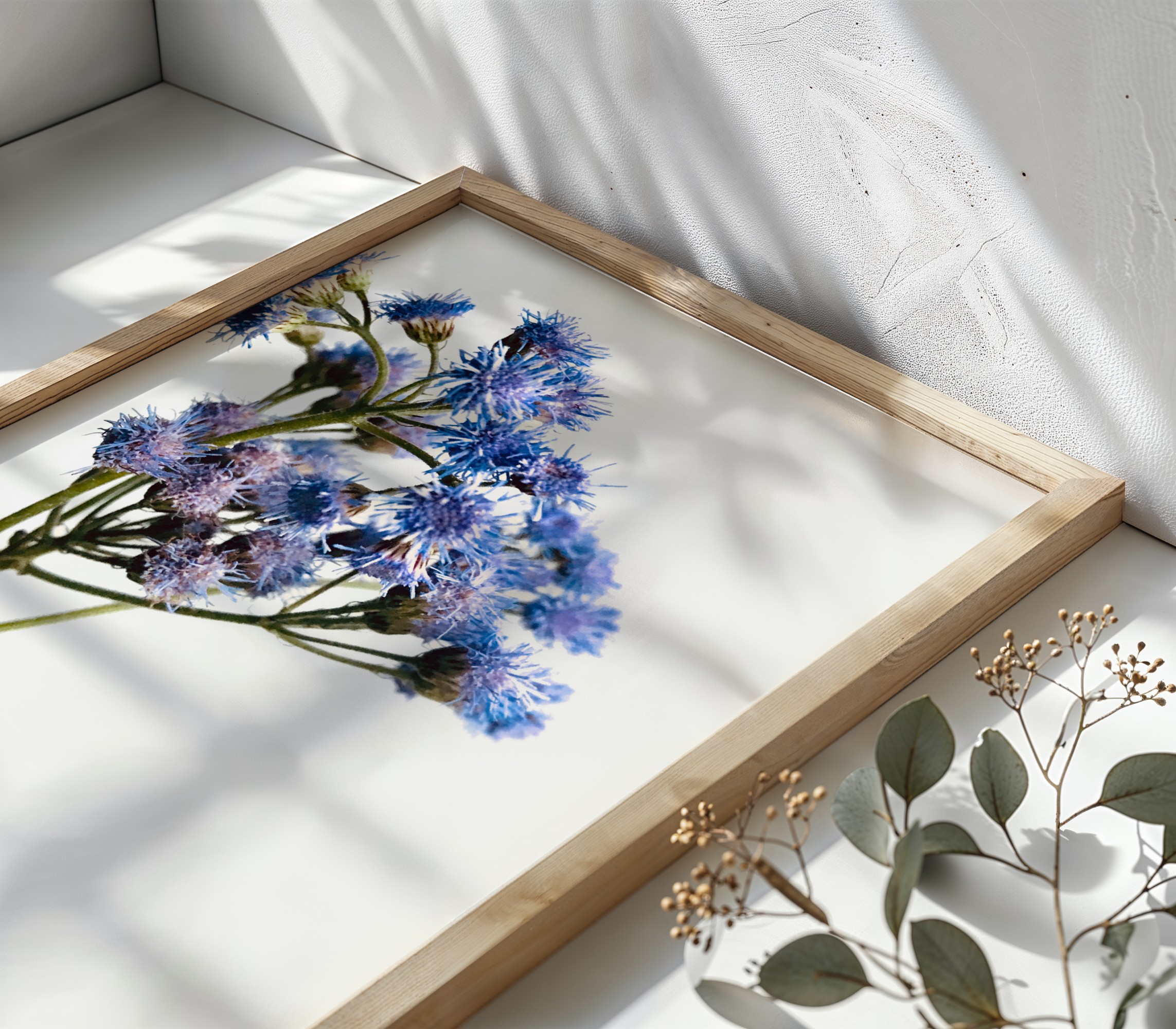 Blue Mistflower Pair Blue Mistflower Pair fine art photography