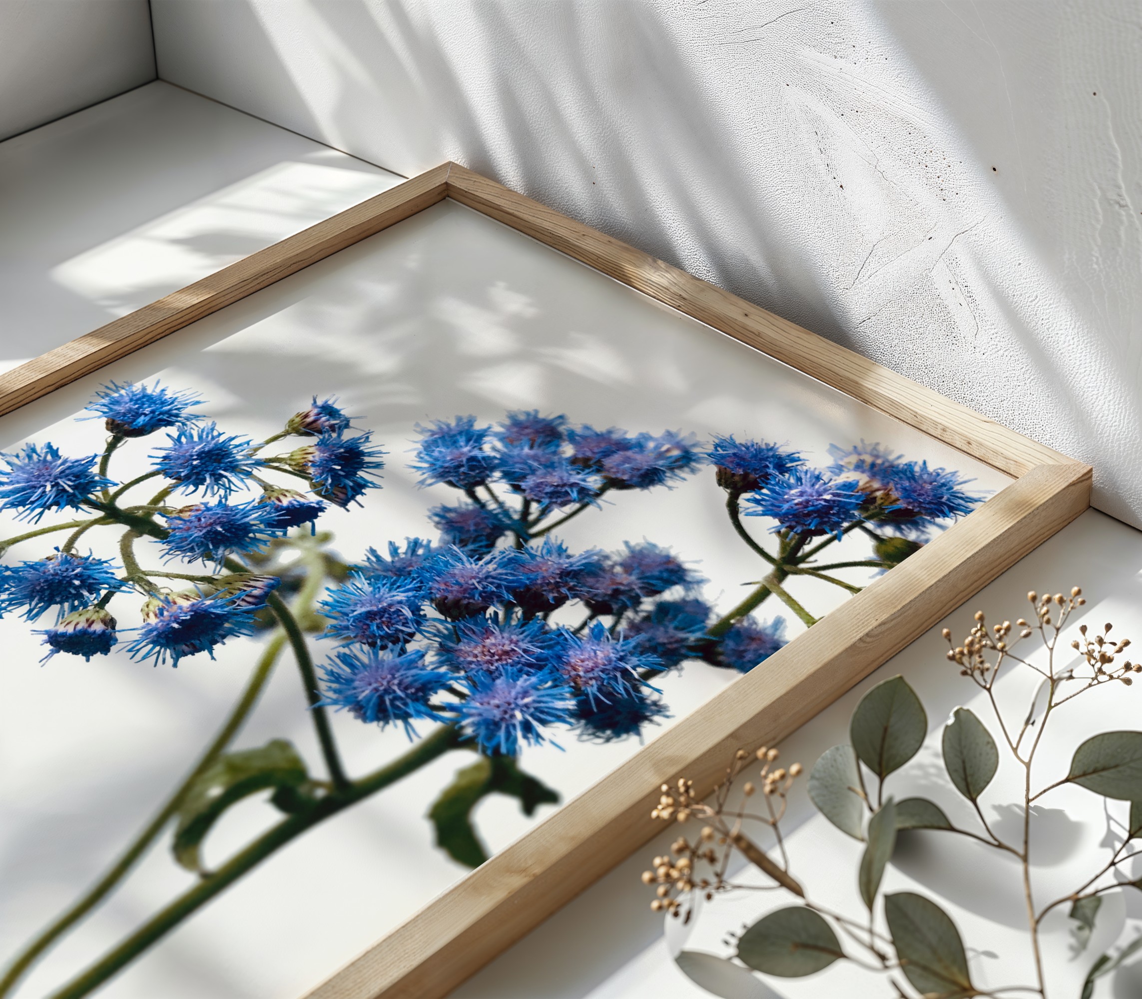 Blue Mistflower Pair Blue Mistflower Pair fine art photography