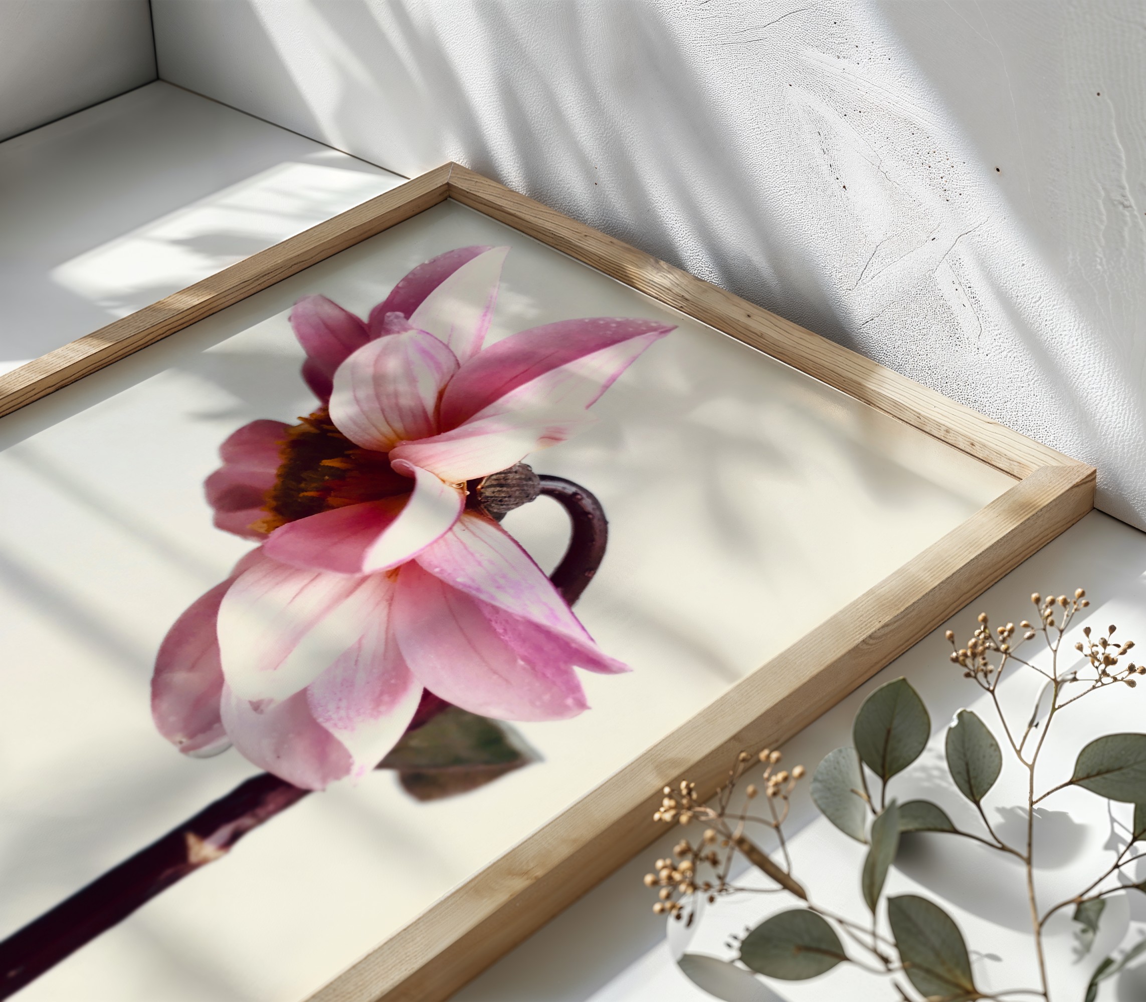 Pink Dahlia fine art photography