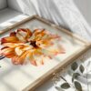Peach Dahlia fine art photography