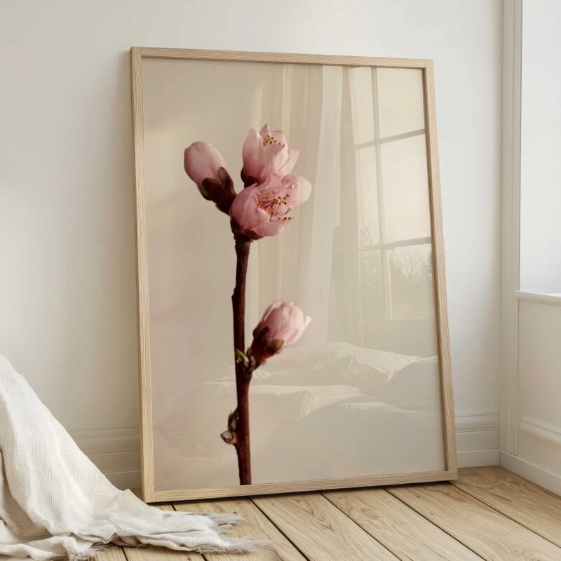 Peach Blossom Peach Blossom fine art photography