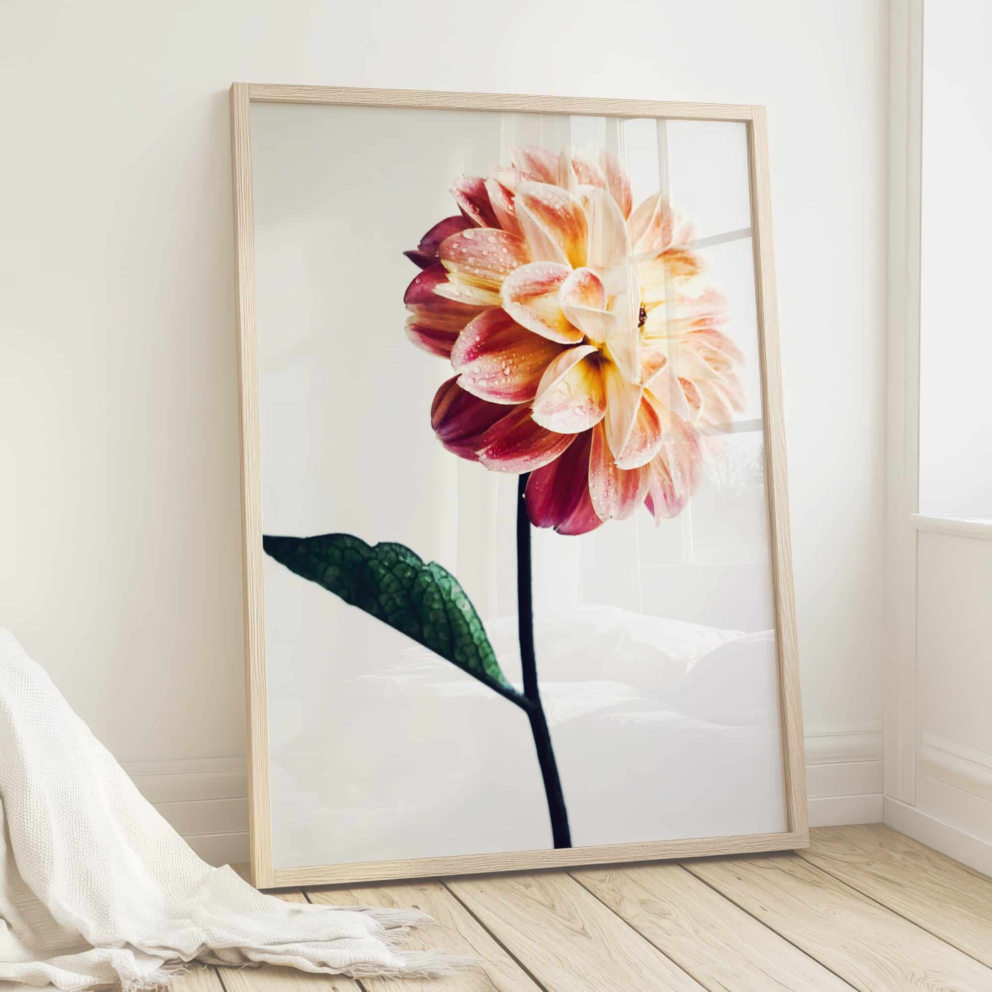 Blush Mist Blush Mist fine art photography