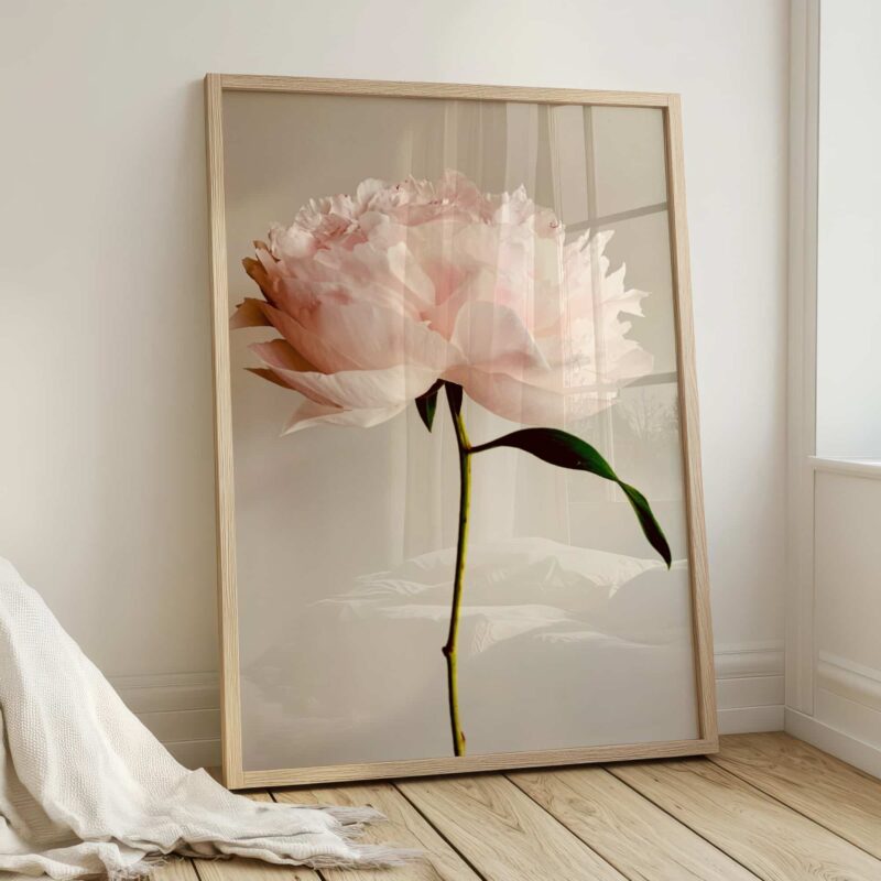 Blush Poise fine art photography