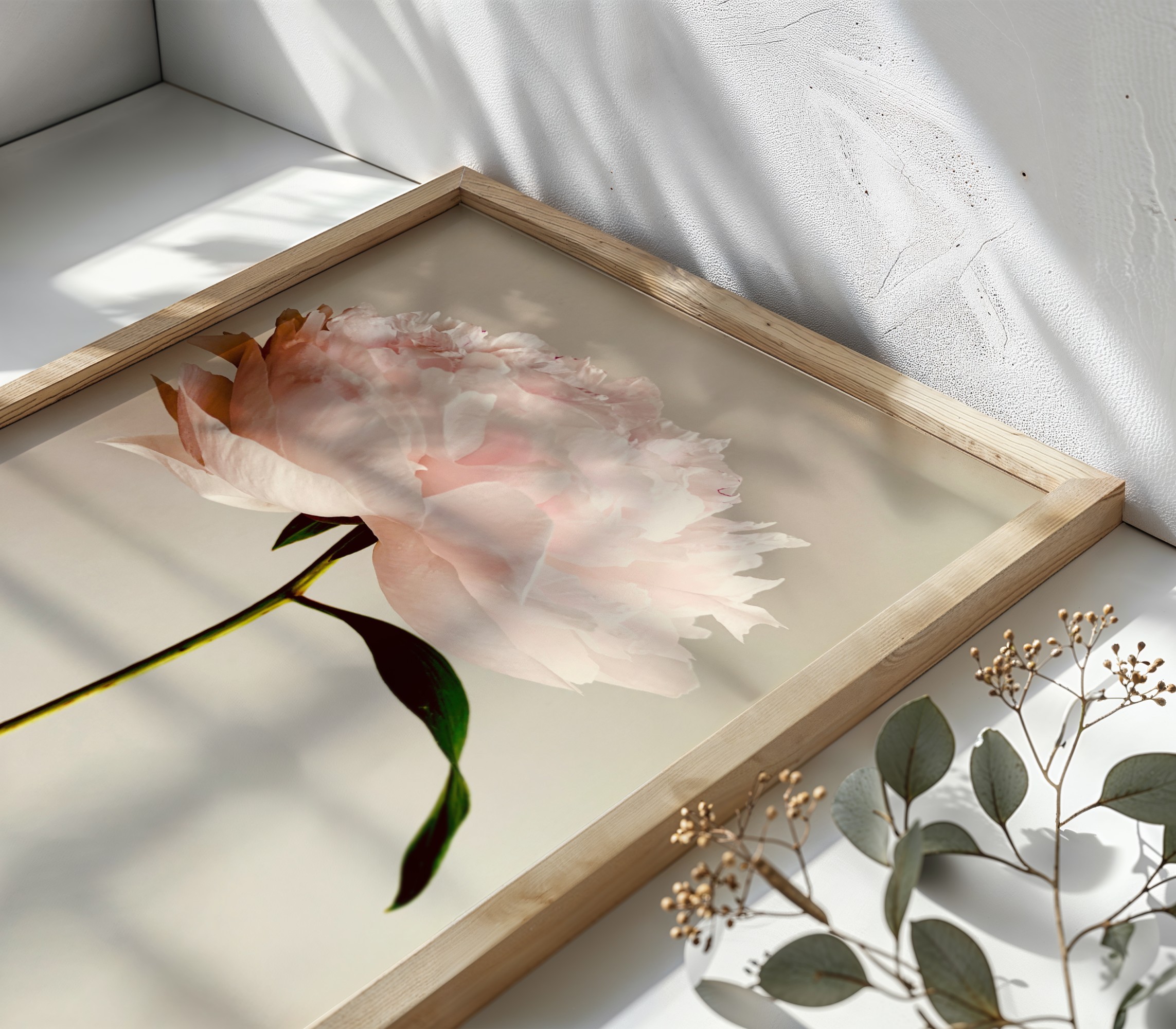 Blush Poise Blush Poise fine art photography