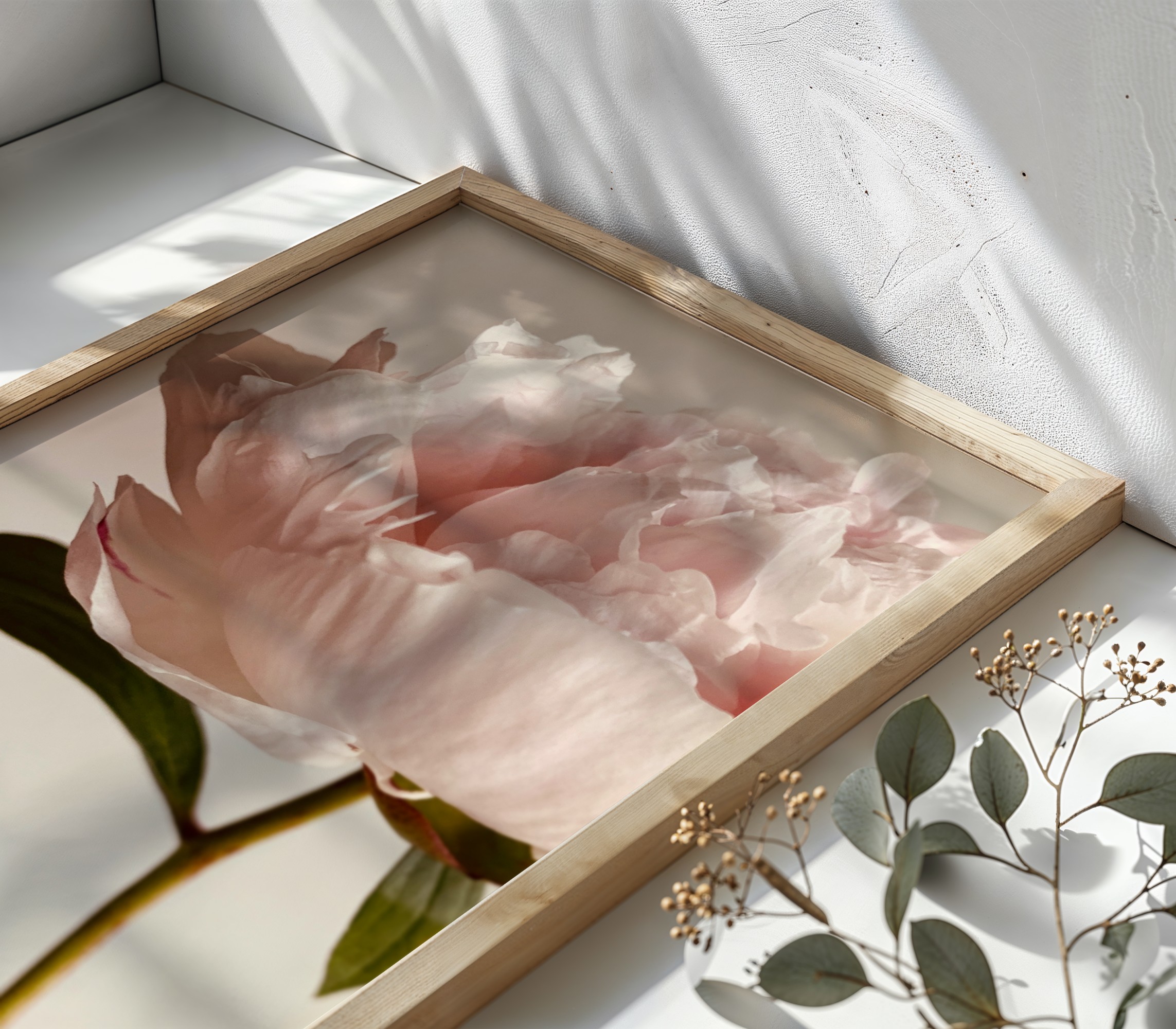 Blush Poise Blush Poise fine art photography