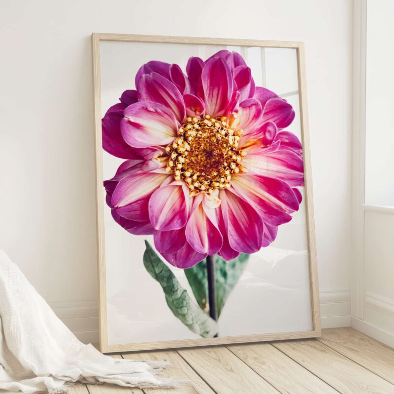 Garden Jewel Garden Jewel fine art photography