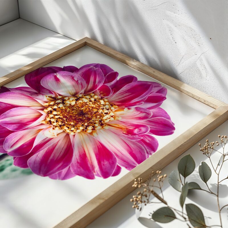 Garden Jewel Garden Jewel fine art photography