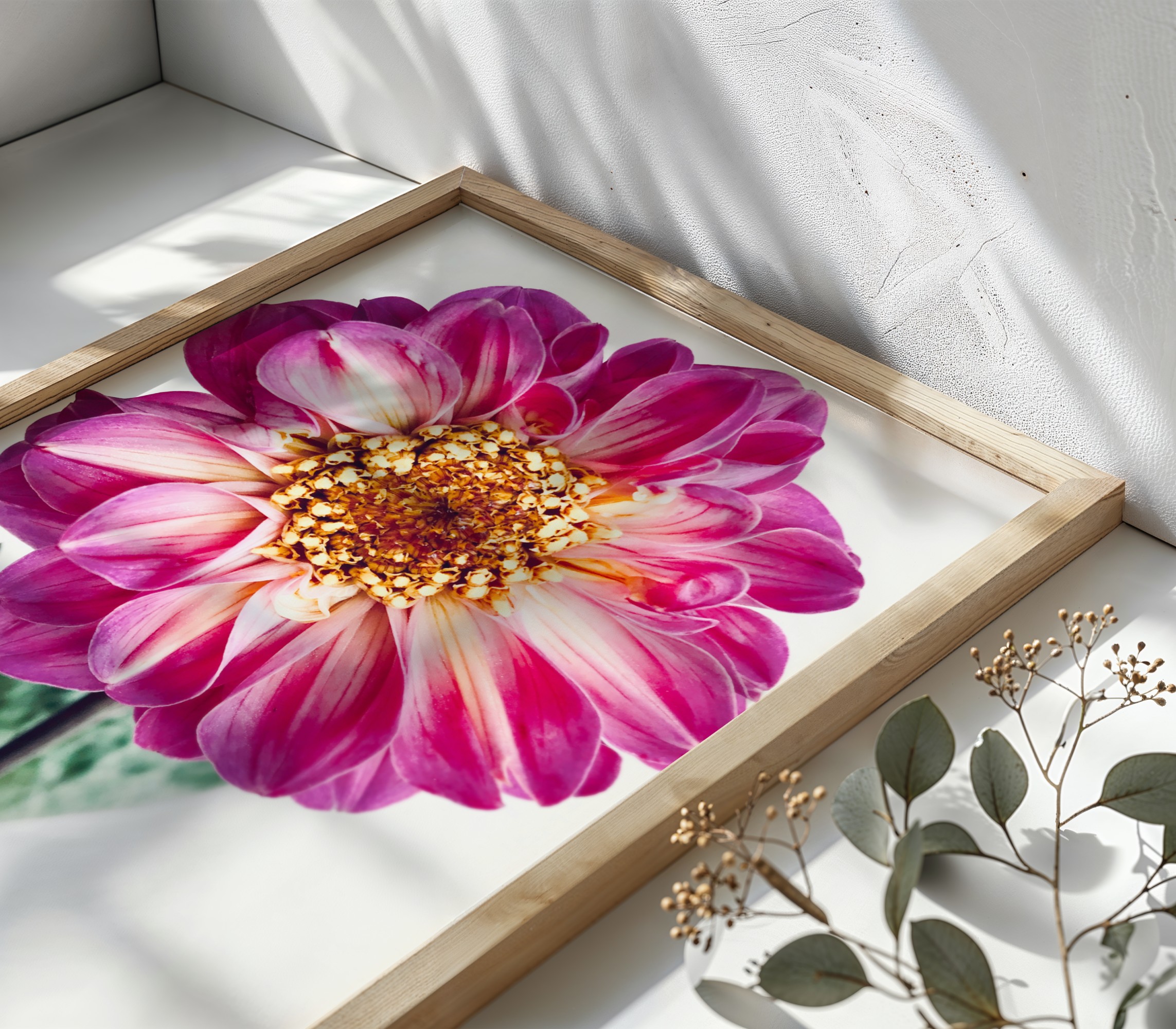 Garden Jewel Garden Jewel fine art photography