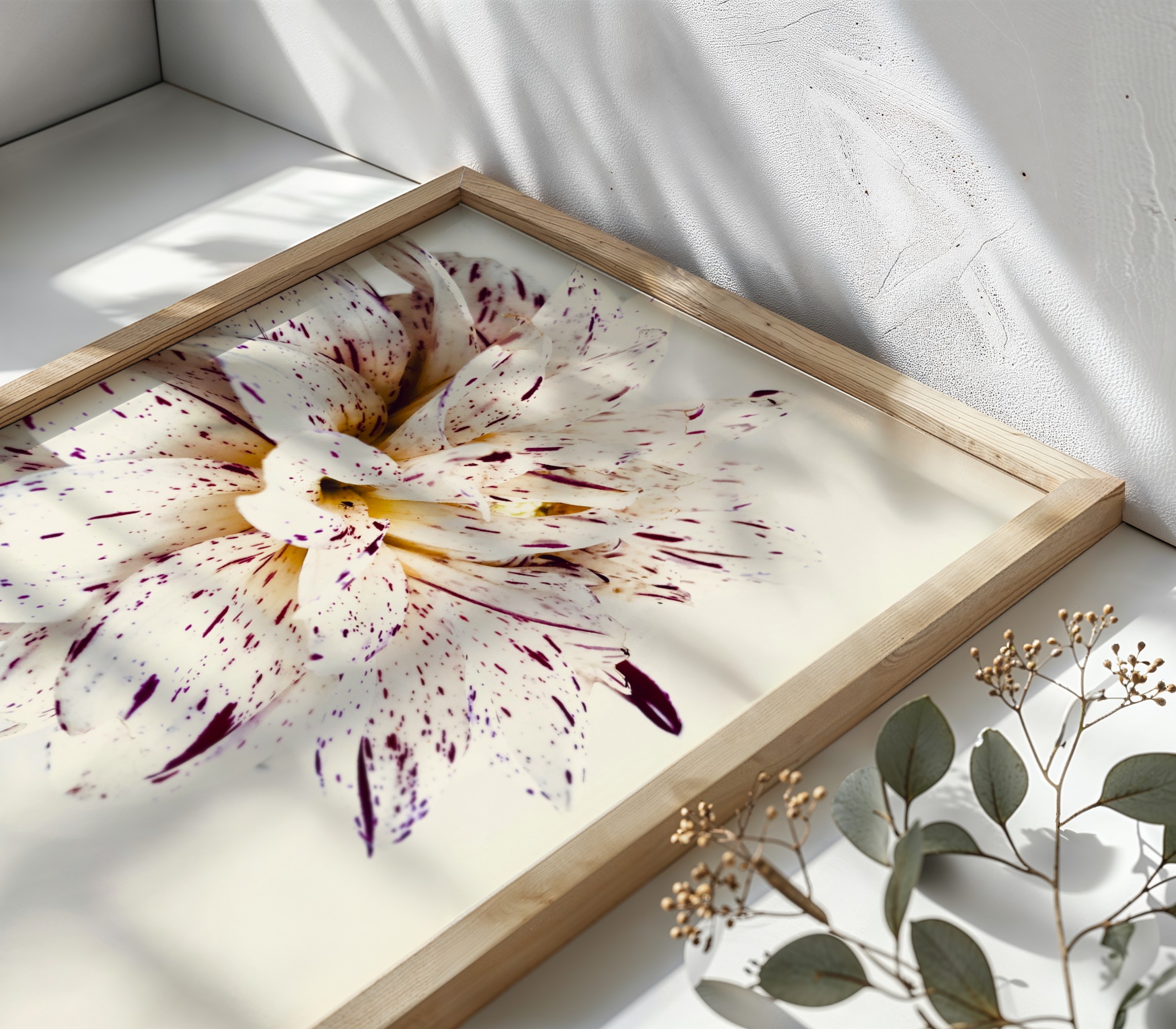 Speckled Dahlia Speckled Dahlia fine art photography