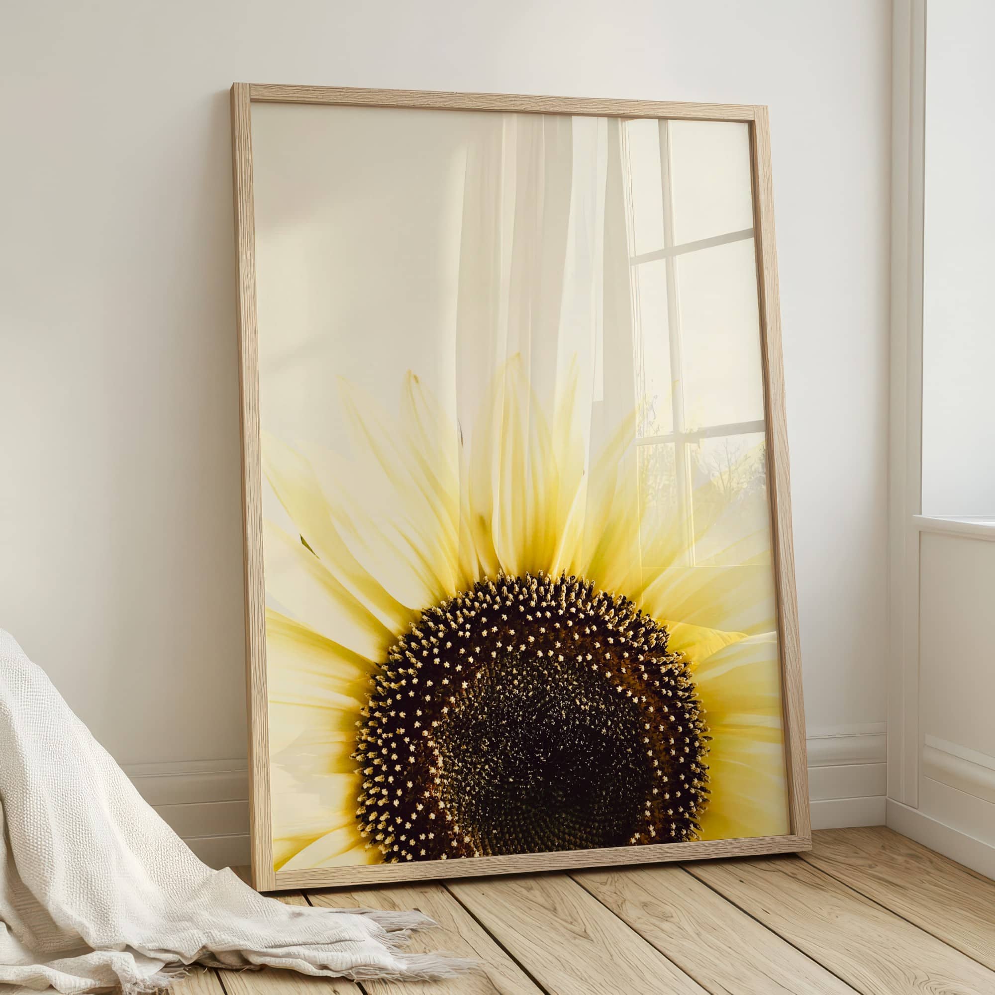Sunflower Rising fine art photography