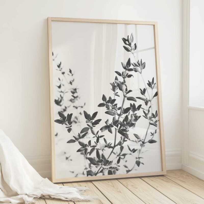 Wandering Thyme Wandering Thyme fine art photography