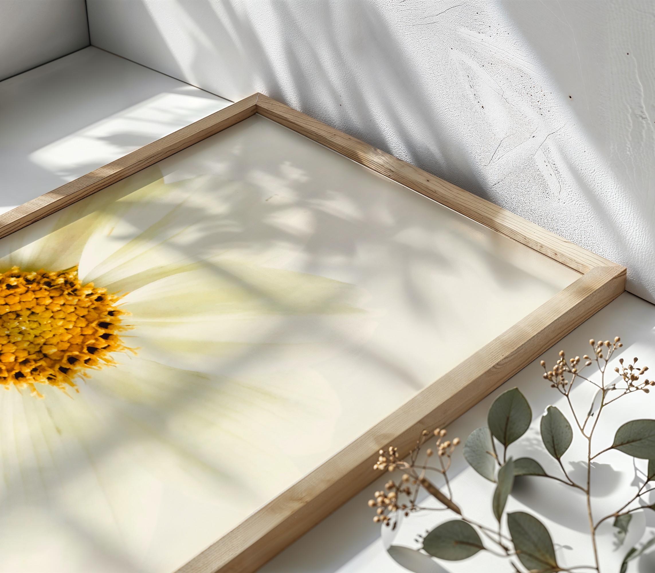 White Cosmos fine art photography