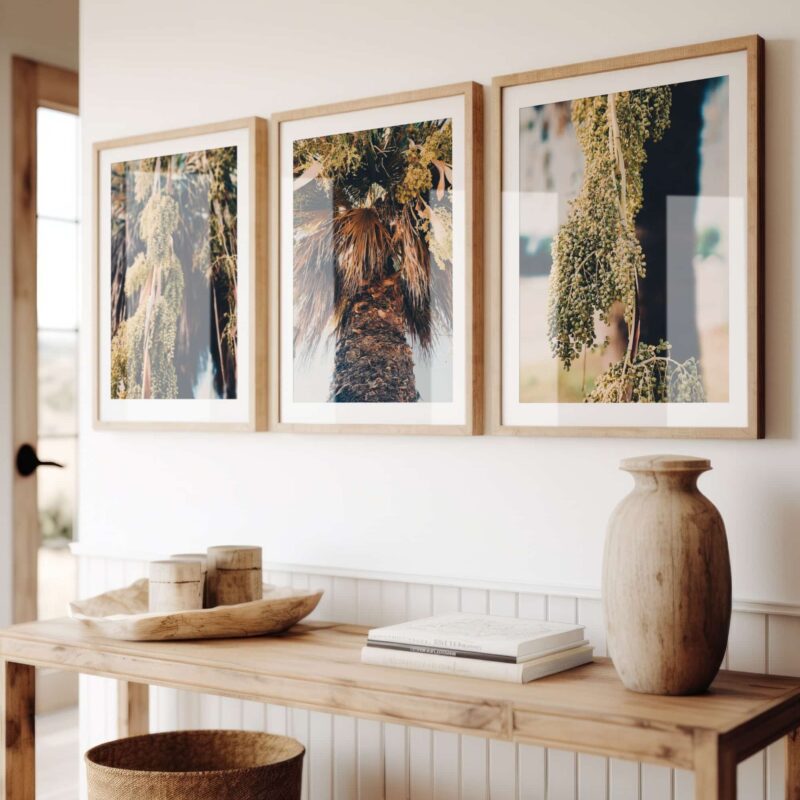 Palm Studies fine art photography