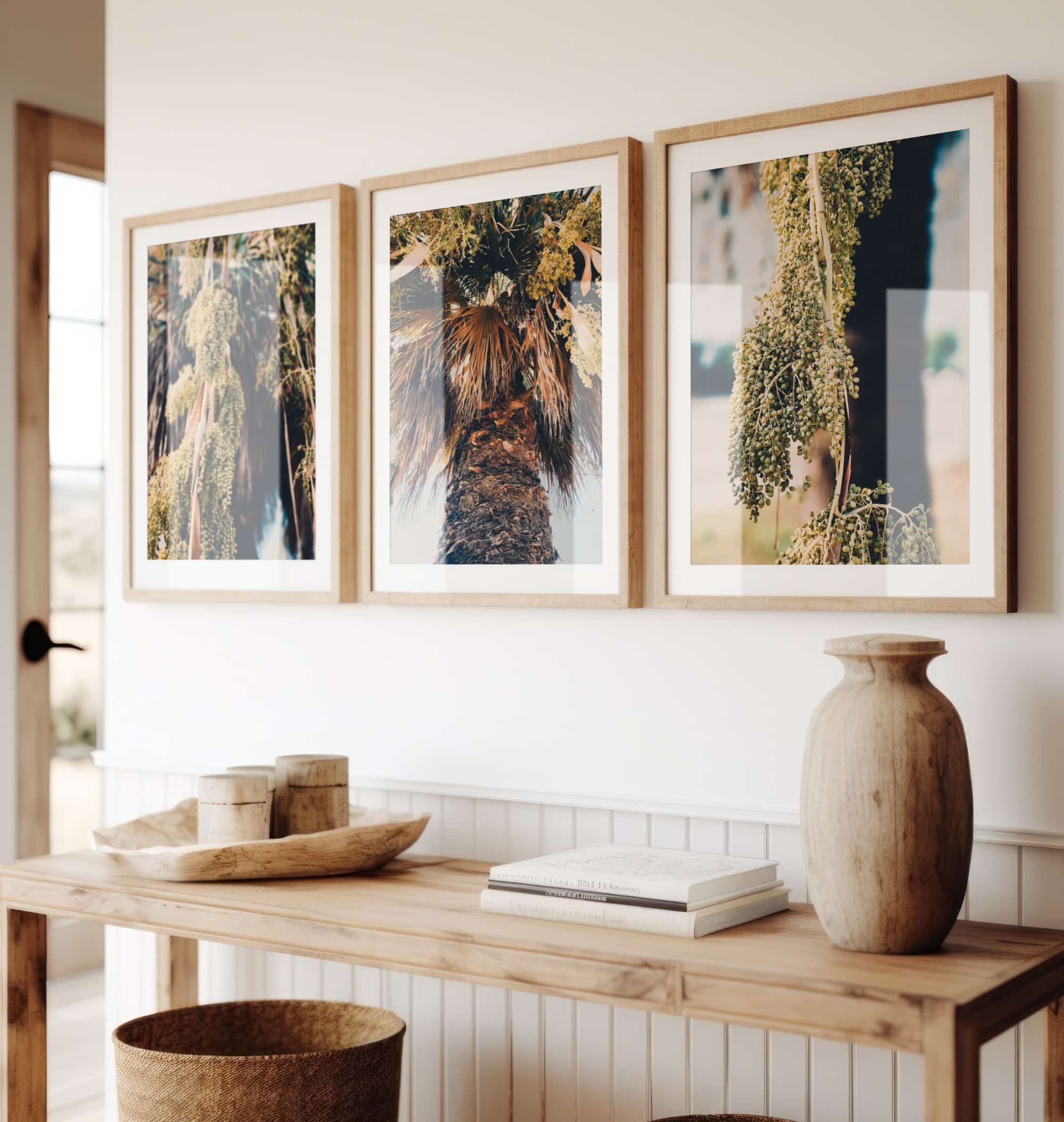 Palm Studies Palm Studies fine art photography