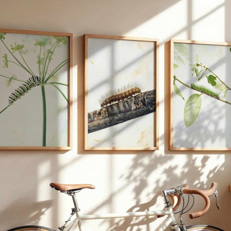 Quiet Growth art prints