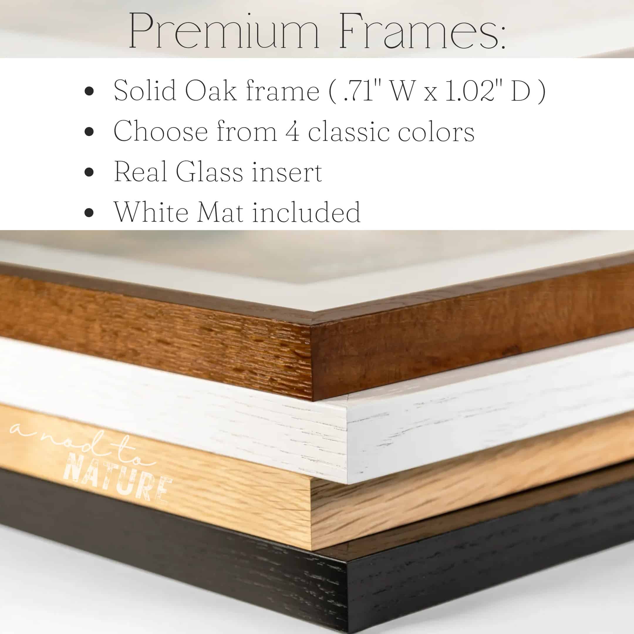 Spanning Stillness fine art photography