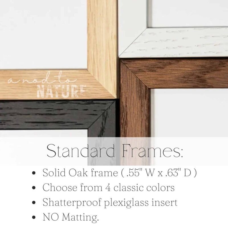 Pumpkin Mosaic Pumpkin Mosaic art prints