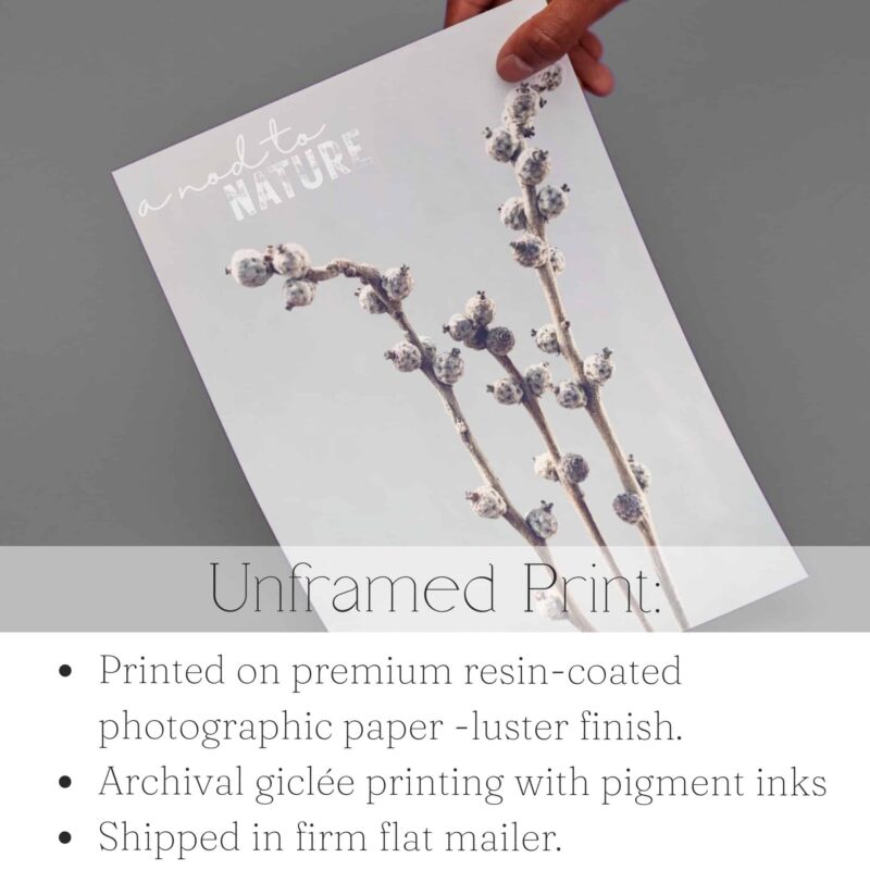 Radiance Radiance fine art photography