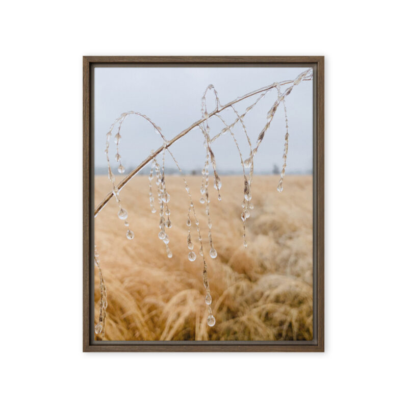 Winter Field Study framed canvas art (front view)