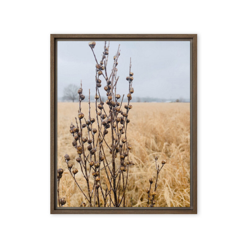 Winter Field Study framed canvas art (front view)
