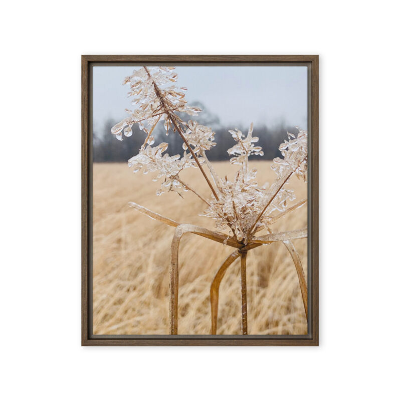 Winter Field Study framed canvas art (front view)