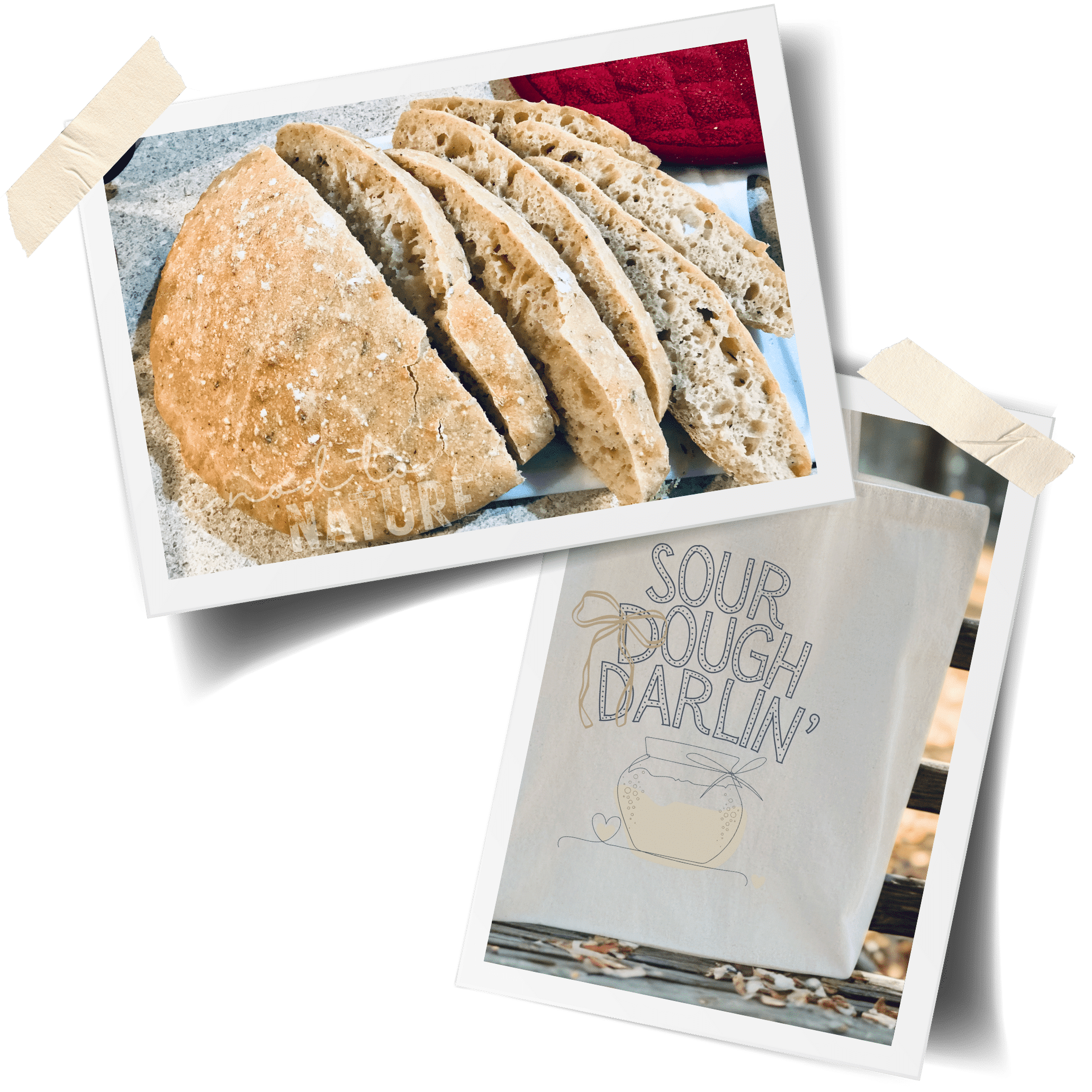 Journal REHOBOTHFARMOPT