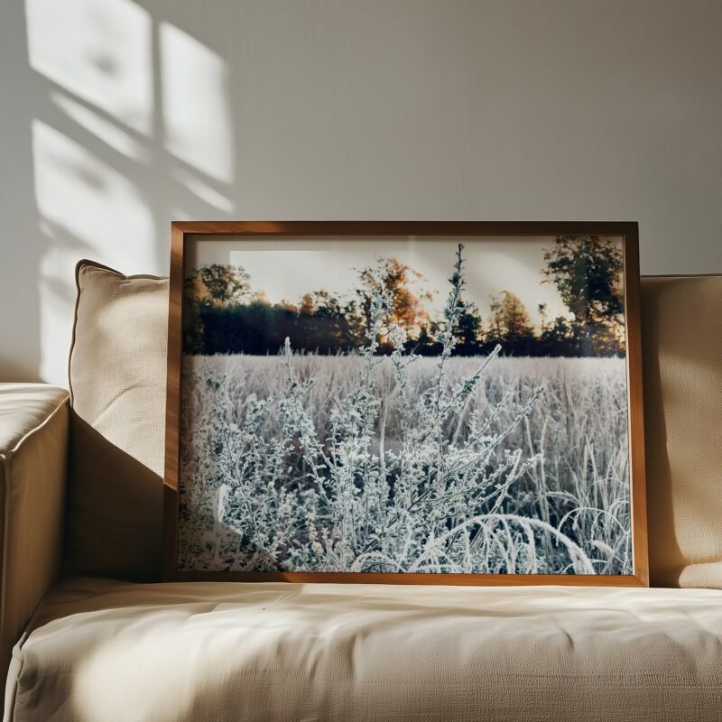 Winter’s Breath botanical wall art