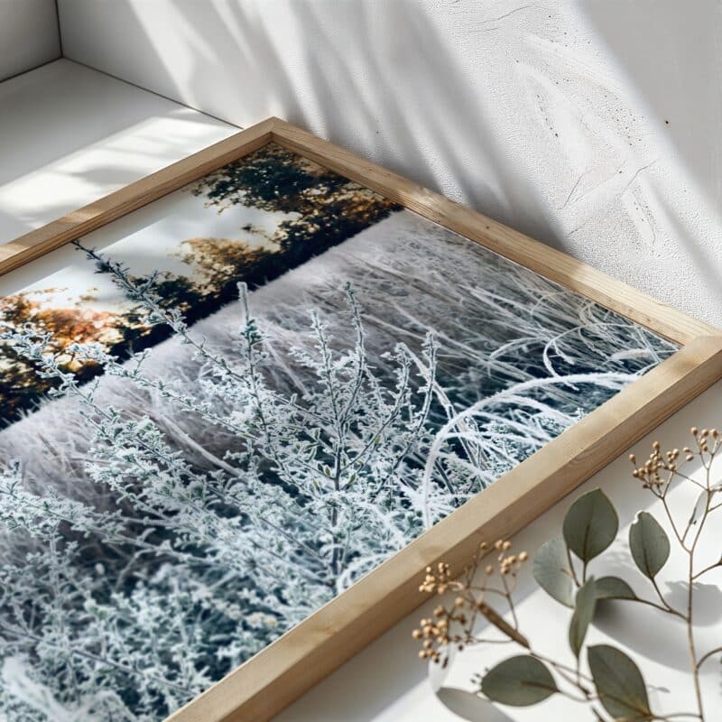 Winter’s Breath Winter’s Breath botanical wall art