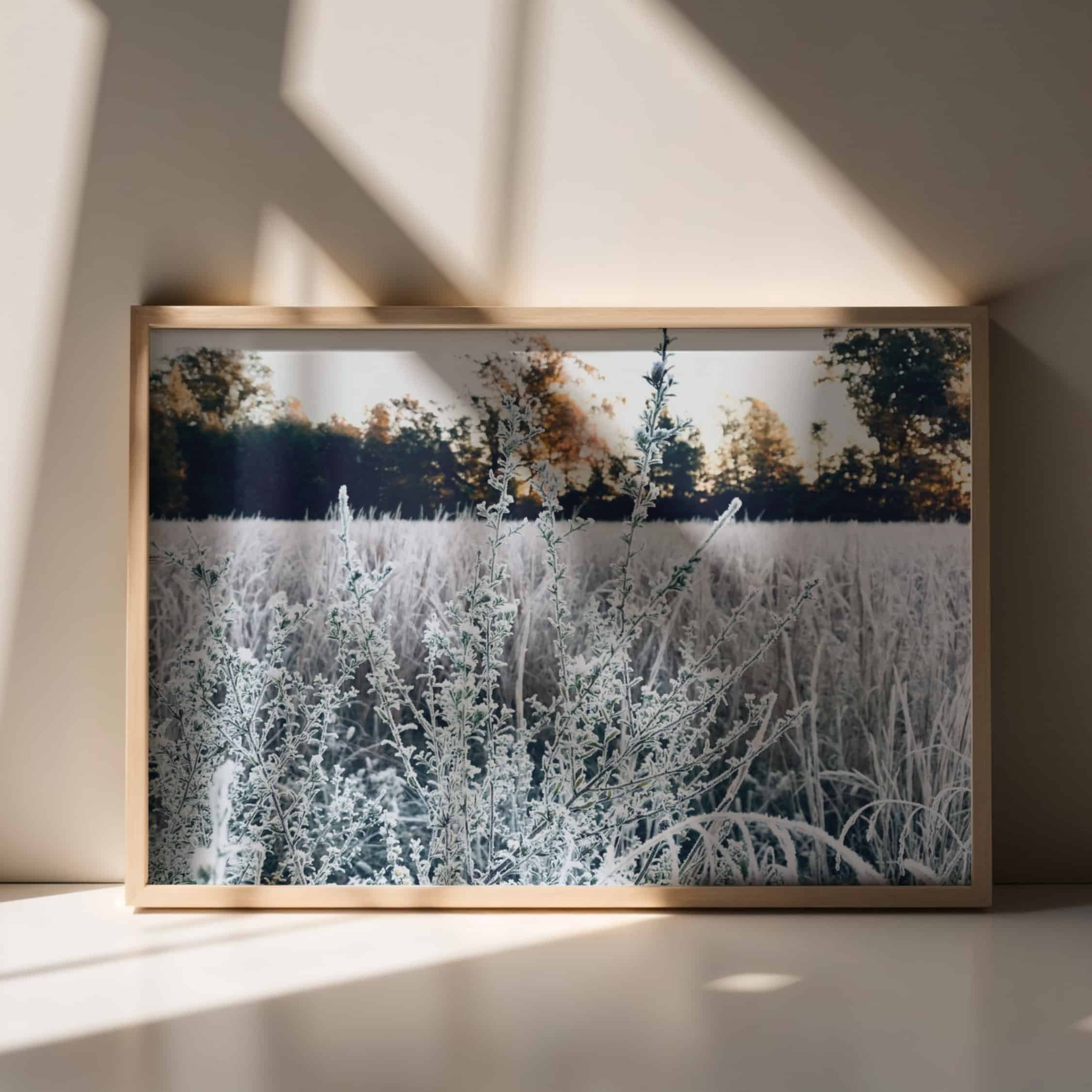 Winter’s Breath Winter’s Breath botanical wall art