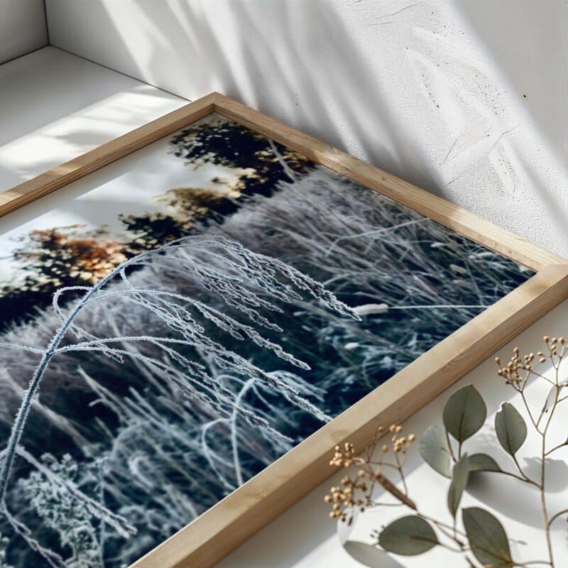 Frosted Bend Frosted Bend botanical wall art