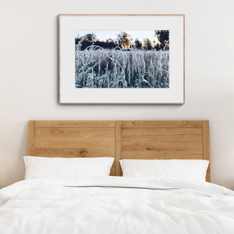 Frosted Bend Frosted Bend botanical wall art