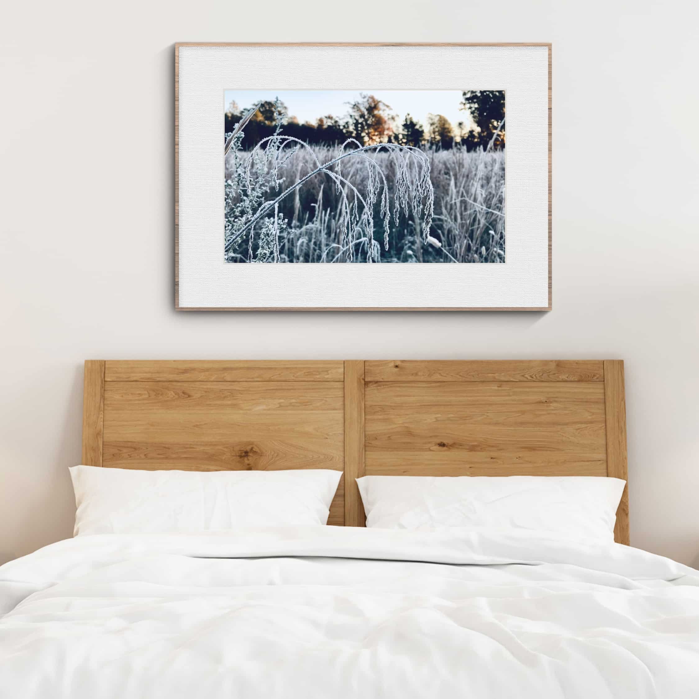 Frosted Bend Frosted Bend botanical wall art