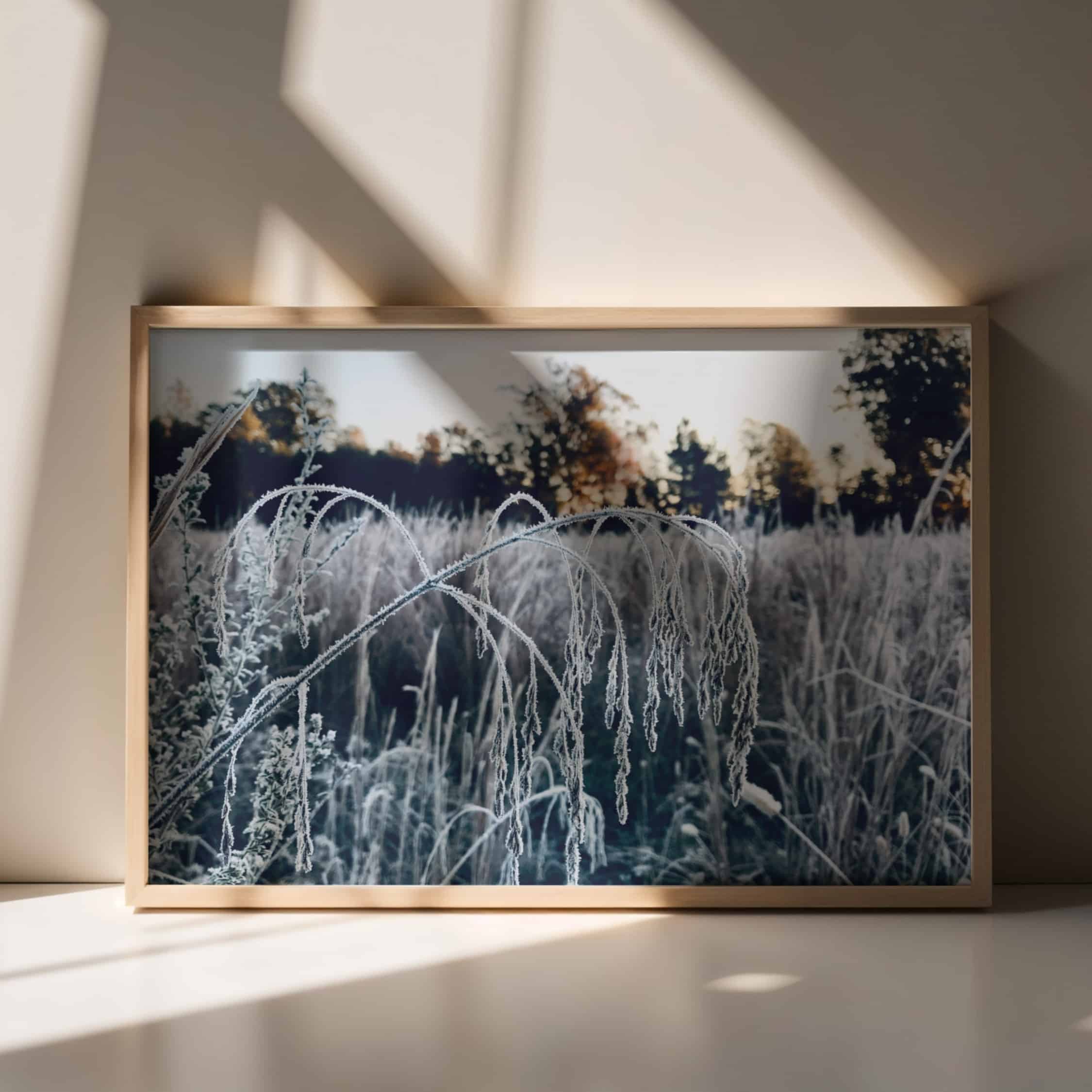 Frosted Bend Frosted Bend botanical wall art