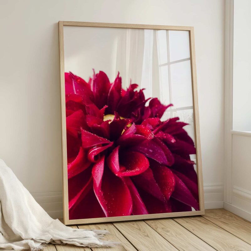 Cremesín Amantes fine art photography