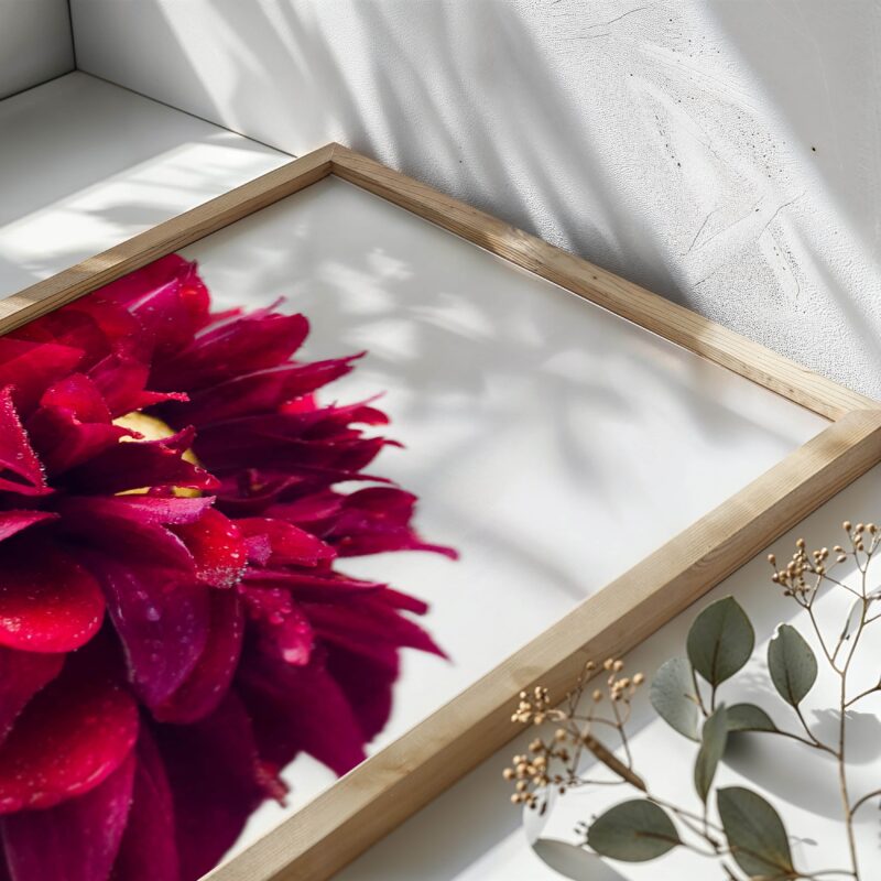 Cremesín Amantes fine art photography