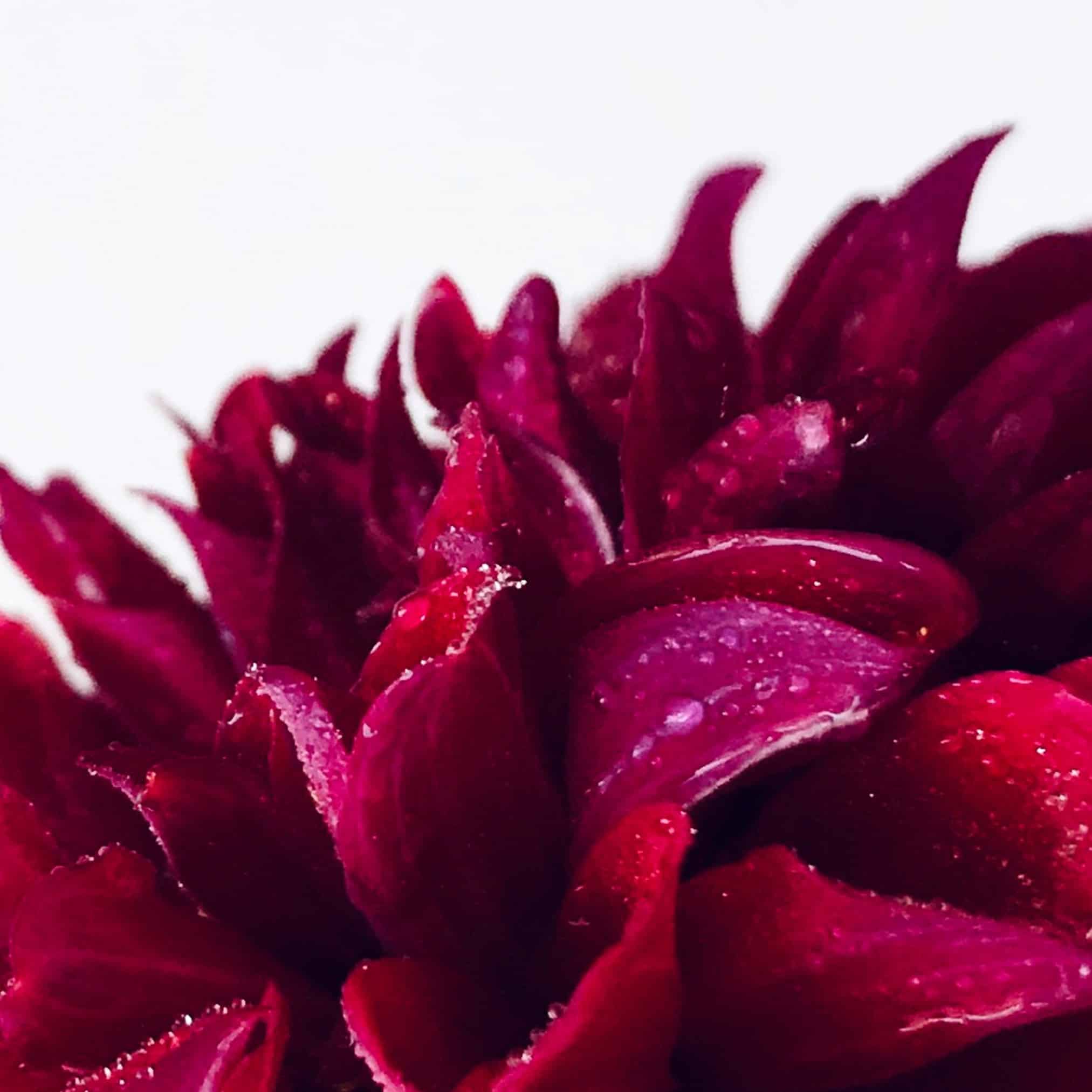 Votive Heart fine art photography