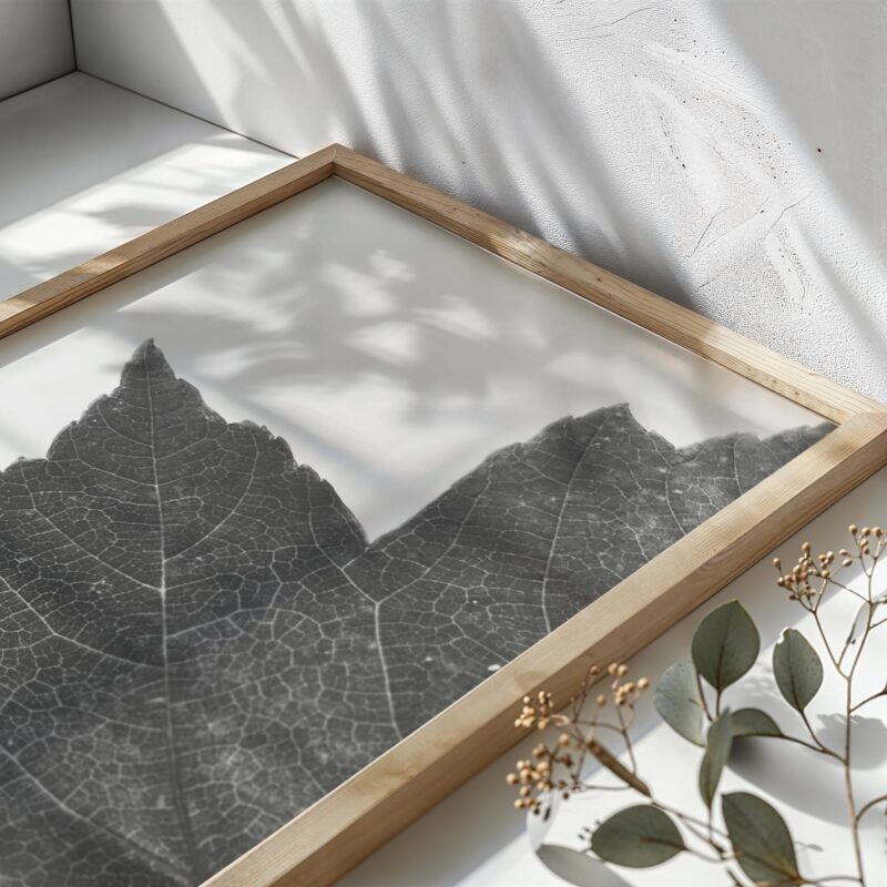 Origin fine art photography