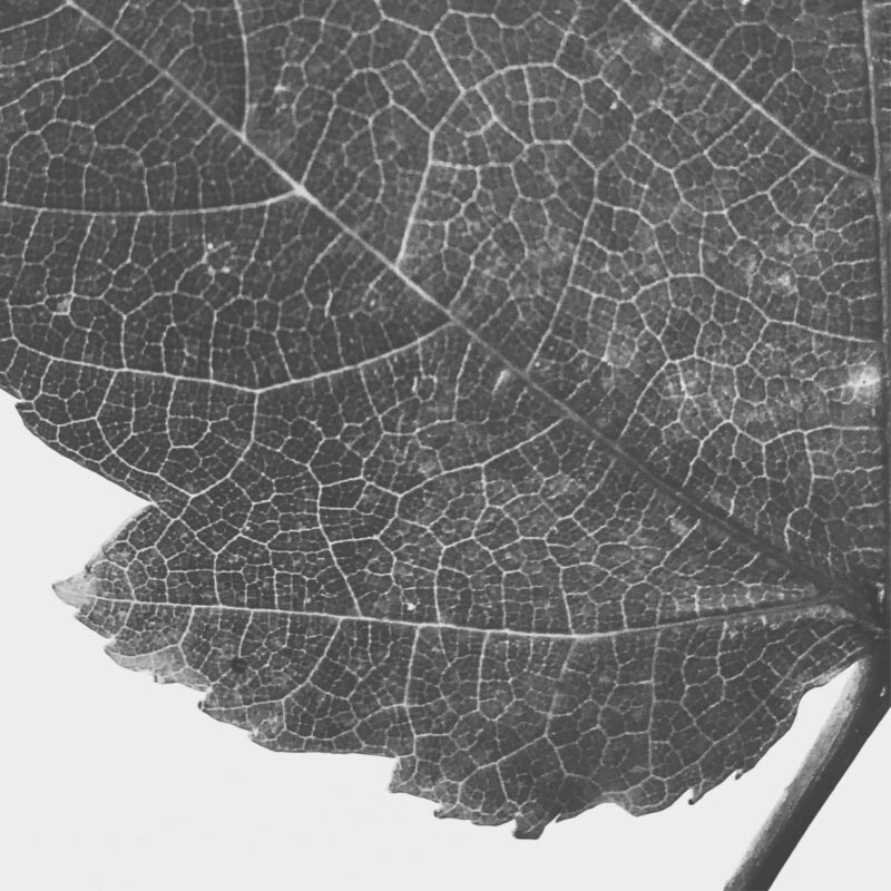 Origin fine art photography