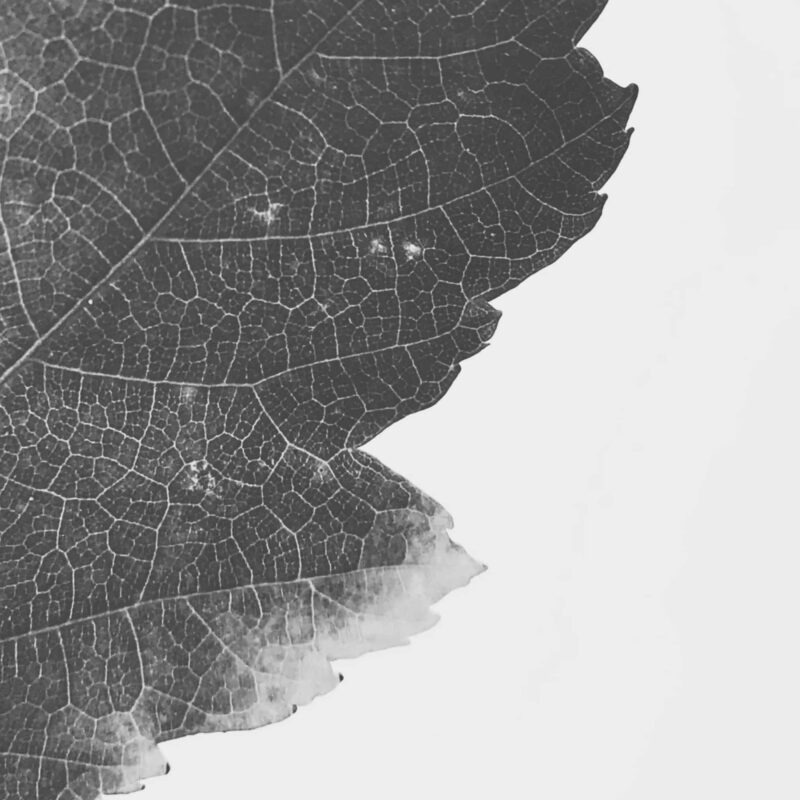 Essence of Union fine art photography