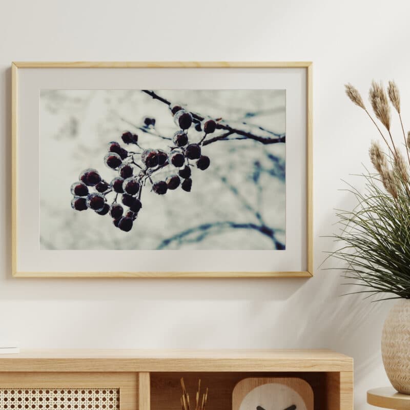 Berries Beneath Berries Beneath botanical wall art