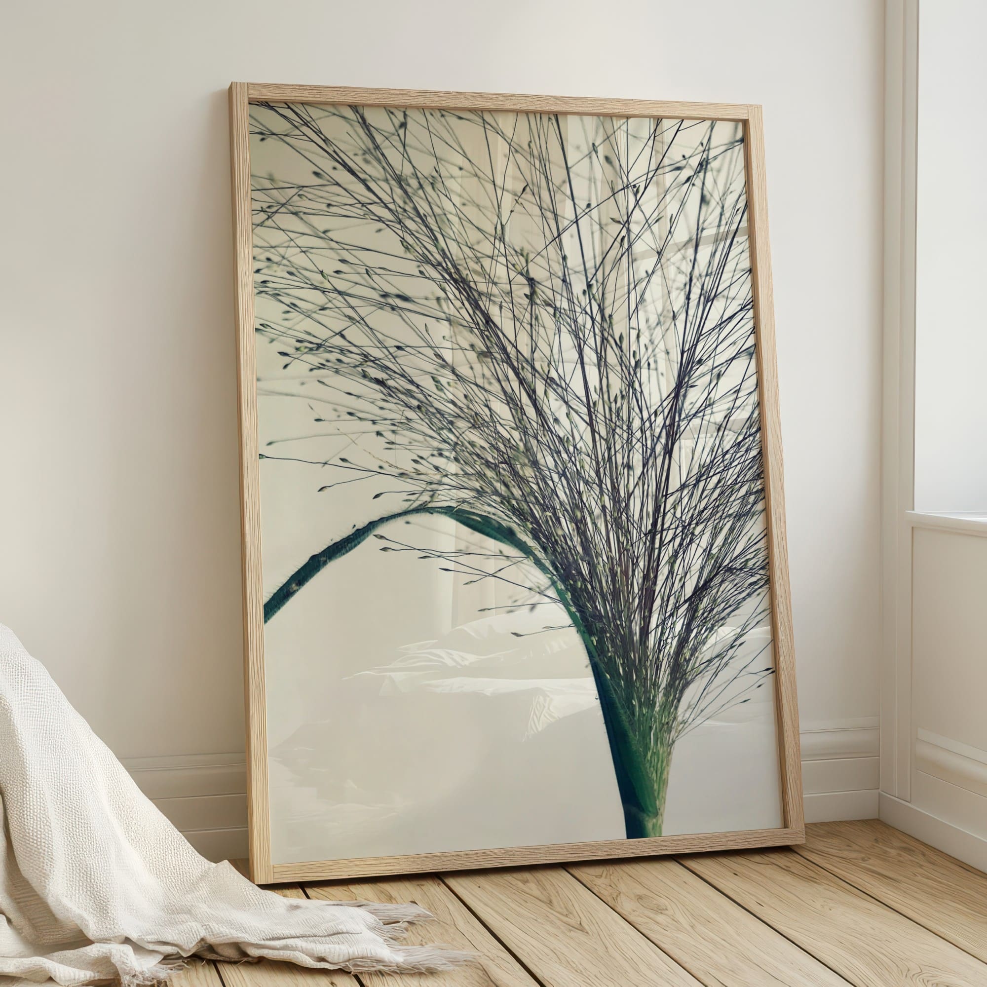 Seed Script fine art photography