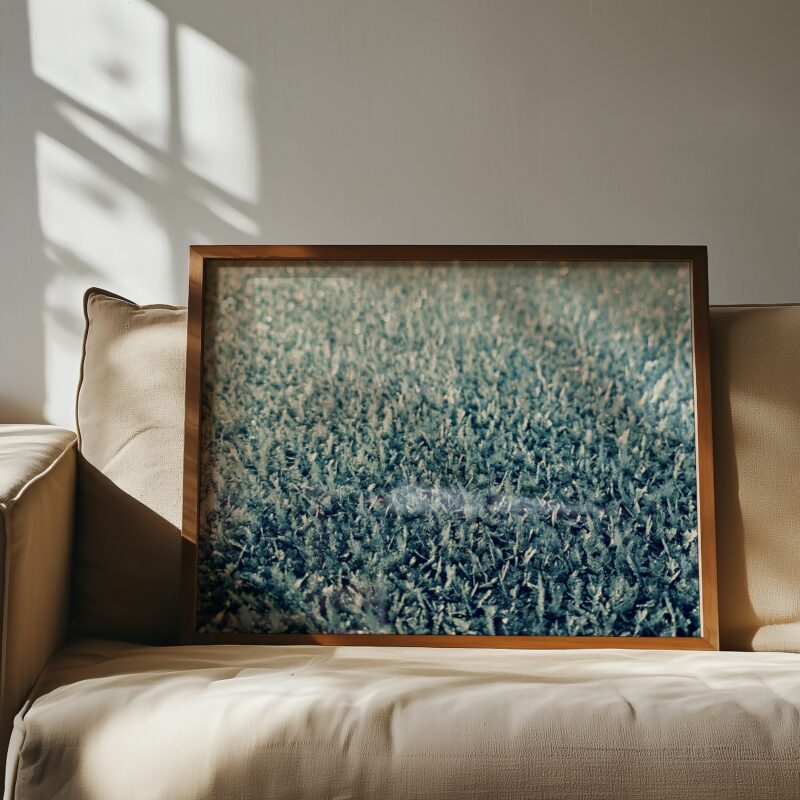 Frozen Light botanical wall art