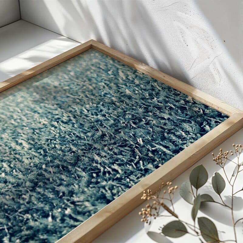 Frozen Light Frozen Light botanical wall art