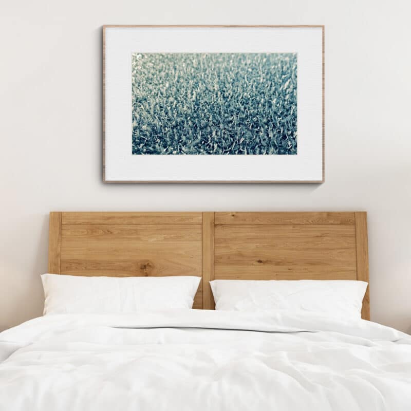 Frozen Light Frozen Light botanical wall art