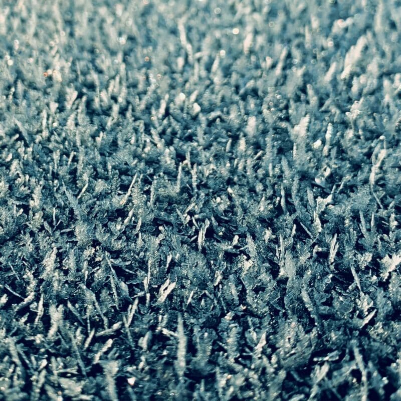 Frozen Light Frozen Light botanical wall art