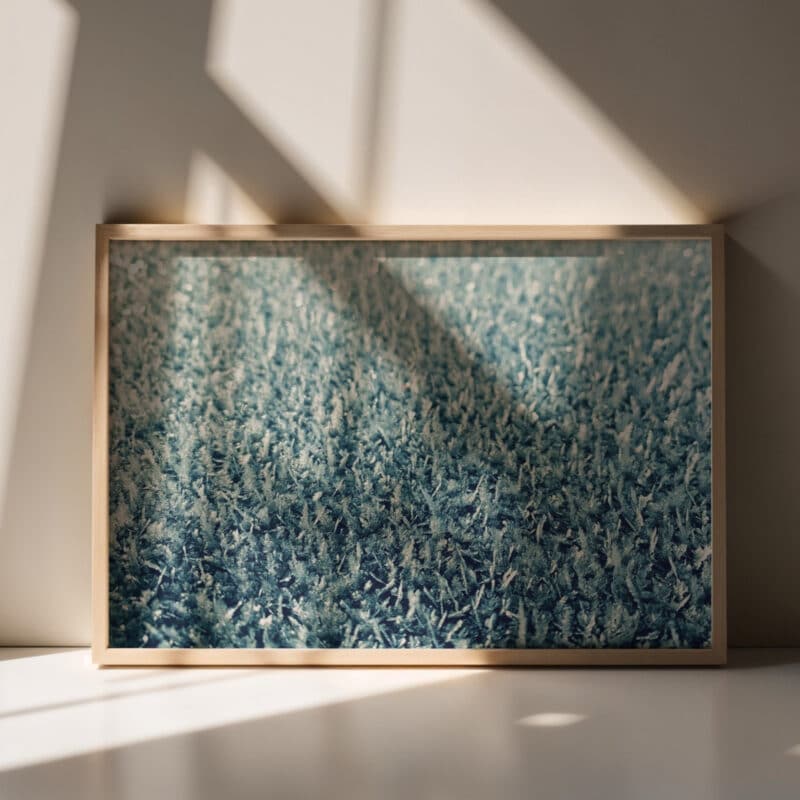 Frozen Light Frozen Light botanical wall art