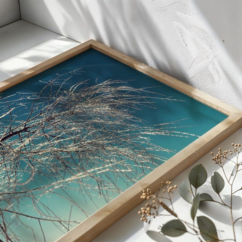Icy Willow Icy Willow botanical wall art