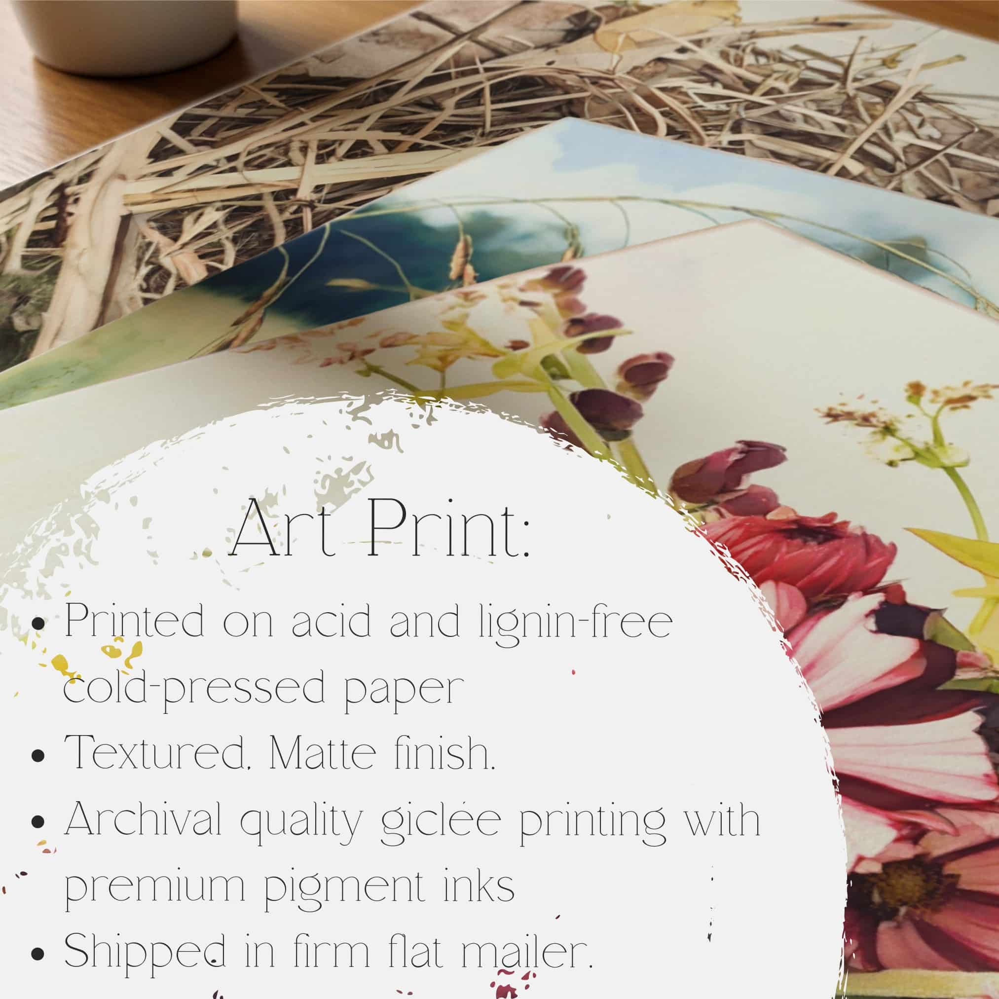 Morning Cosmos botanical wall art