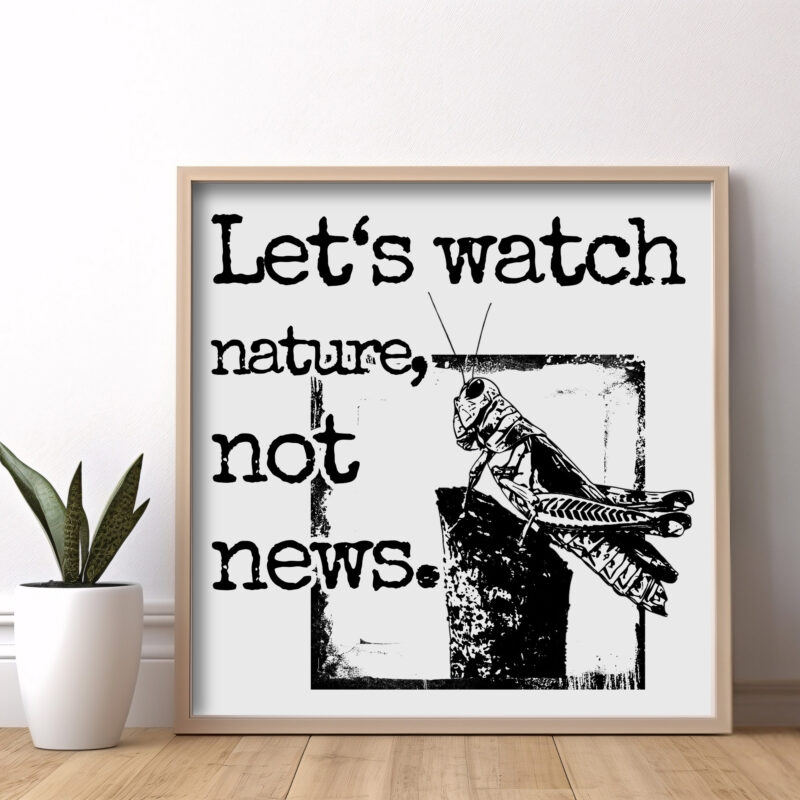 Let’s Watch Nature, Not News — Graphic Poster graphic posters
