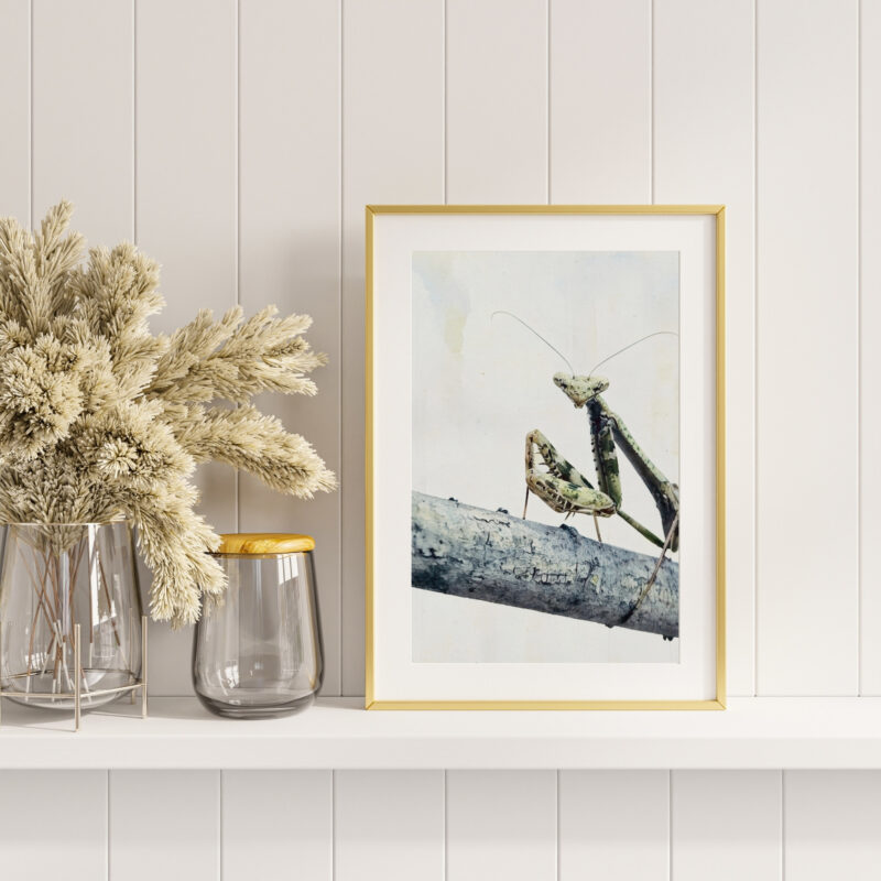 Gentle Lookout wildlife wall art